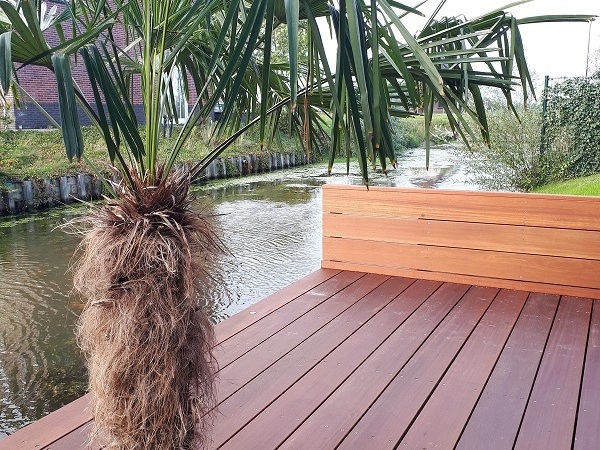 Vlonderterras met palmboom