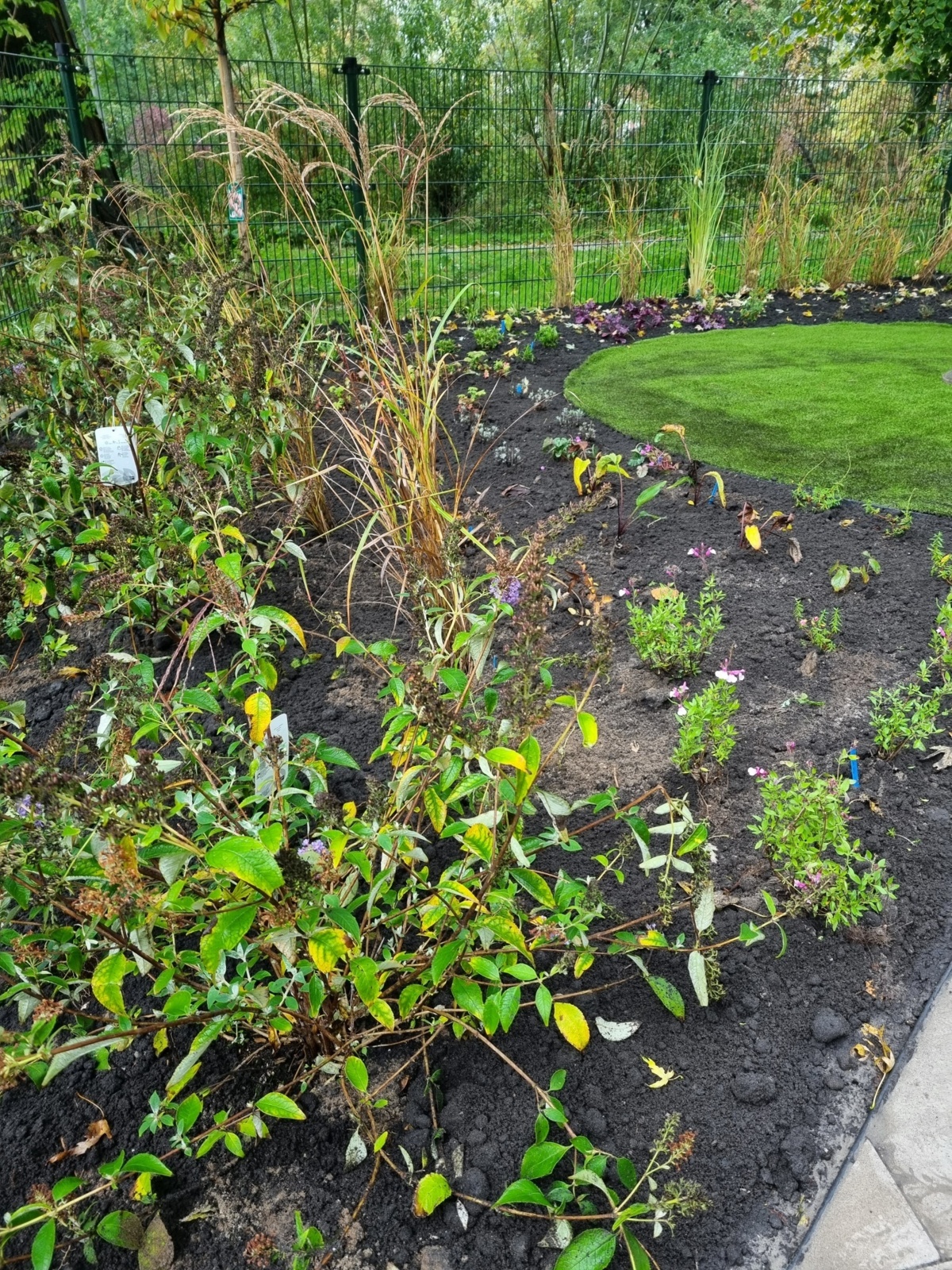 foto beplanting tuin