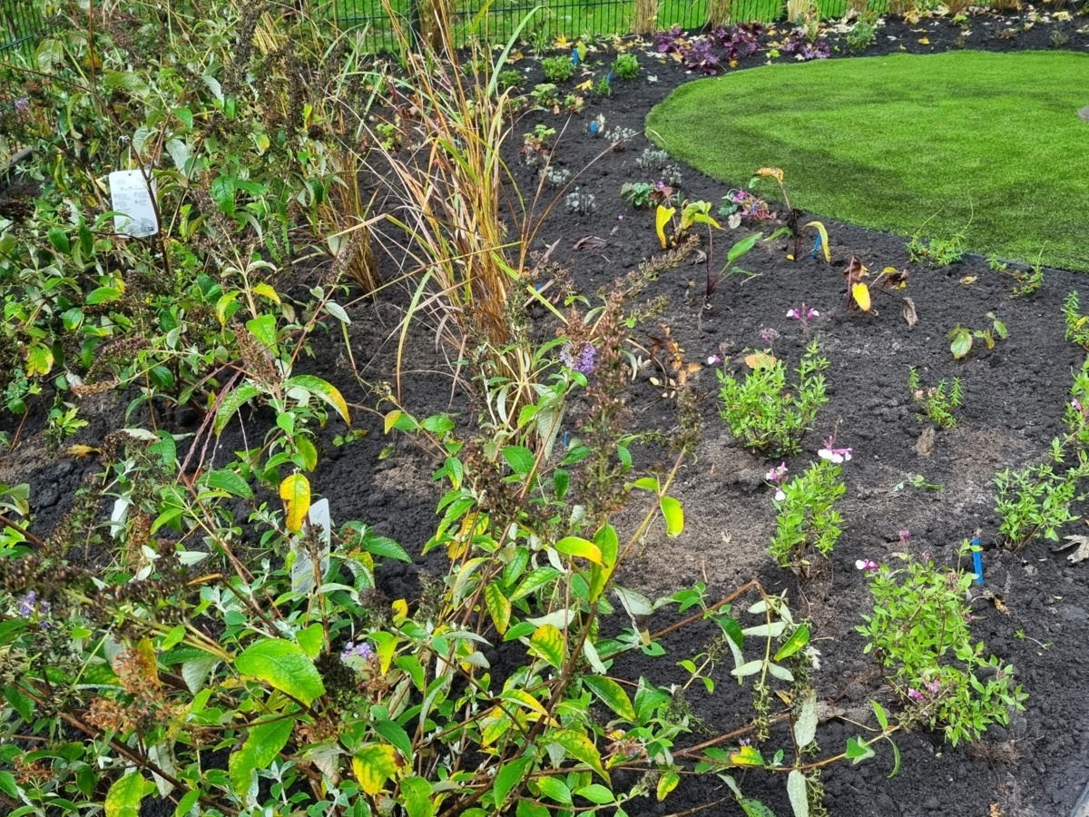 foto beplanting tuin