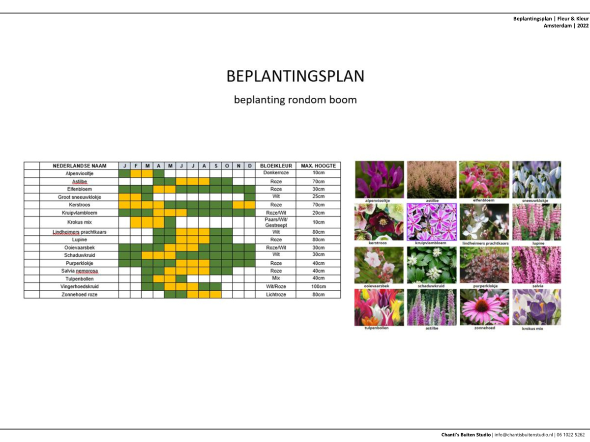 beplantingslijst met soorten en aantallen