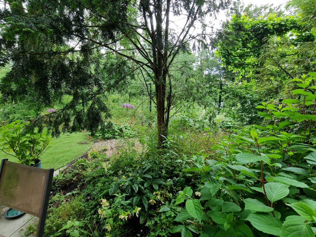 stadstuin_groen.jpg stadstuin_groen.jpg